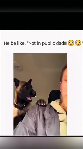 Funny and cute dogs compilation 🤣… #funnydog #funnypet #cutedog #dogsoftiktok #doglover