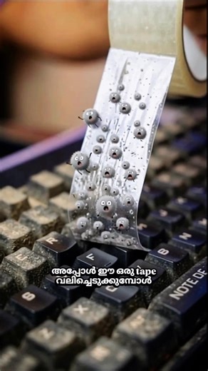 കീബോർഡ് വൃത്തിയാക്കാൻ കഷ്ടപ്പെടുകയാണോ?⌨️ 🤫(Day4/30) #shorts #entertainment