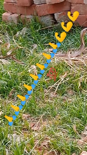 Kunal Kushwaha on TikTok