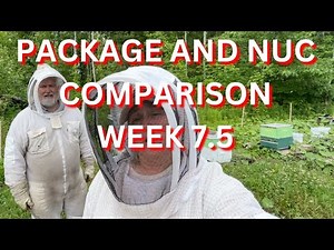 Package and nuc comparison after 7 5 weeks