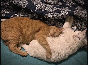 Explore the Latest Text Songs Recommendations