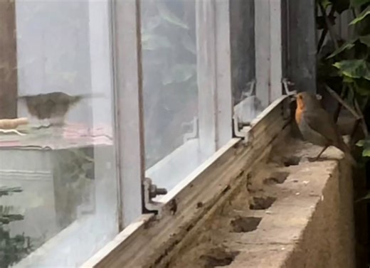 Stevenage Garden Centre. The look of love ❤️ | Friends of Old Stevenage