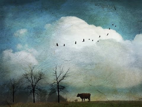 Distressed FX Version 2.0 Demo