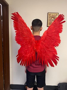 XXL Real Feather Angel Wings – Large Dyed Red Halloween Fairy Feather Angel Wings for Adults Men Women - Etsy