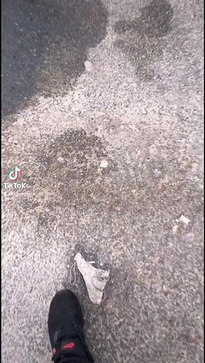 100% Baston sur TikTok
