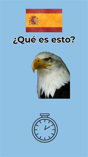 How to say owl, eagle and other birds in Spanish