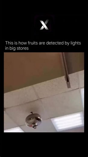 Explore X | The World And Cosmology on Instagram: "“Create a detailed explanation showing how light technology is used to detect the quality of fruits. Describe how different wavelengths of light reveal ripeness, sweetness, moisture level, and hidden bruises inside the fruit. Explain how fresh fruits reflect light evenly with a bright, smooth glow, while unripe or spoiled fruits scatter light irregularly. Highlight how this scientific method helps buyers choose the best fruits by analyzing color