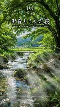 青葉と沢風の午後 03 沢音とうたた寝 Stream Sounds and Drowsiness #528hz #開運 #寝落ち音楽 #ソルフェジオ #睡眠導入 #自律神経を整える