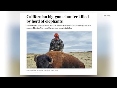 From Lodi to Gabon: longtime hunter Ernie Dosio dies during African safari trip by herd of elephants