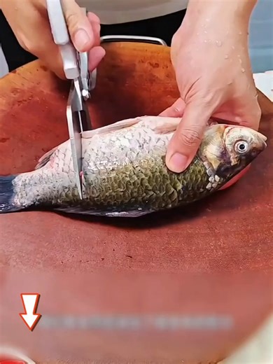 Effortless Kitchen Shears for Cutting Bones and More