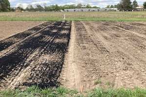 Biochar and environmental quality: Investigating effects of novel agricultural amendments on soil organic matter content and stability