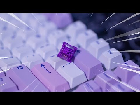 Akko CS Lavender Purple Switch Review | Best Entry Level Tactile Switch!