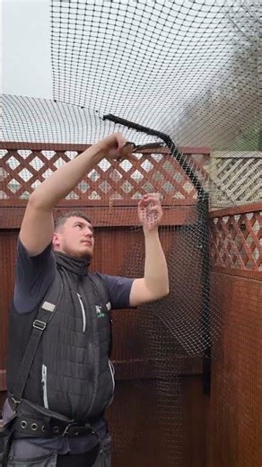 Here's how we Cat-Proof a garden with Cat Fencing and a Steel Mesh Guard! 🐈🌿 #catfencing