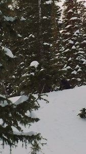 @bryanwfox ☃️☃️ #snowboarding #surfing #snow #quiver | Nitro Snowboards Canada