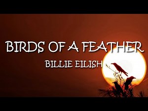 Billie Eilish - BIRDS OF A FEATHER (Lyrics)