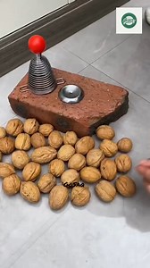 386K views · 2K reactions | Easiest Way to Open Walnuts Without Breaking a Sweat! #LifeHack #WalnutHack #FoodTips #SmartTrick | GoSaq | Facebook