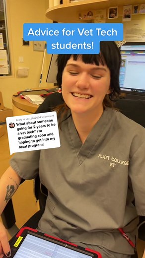 Vet Tech School Survival Tips: Time Management, Studying, & More