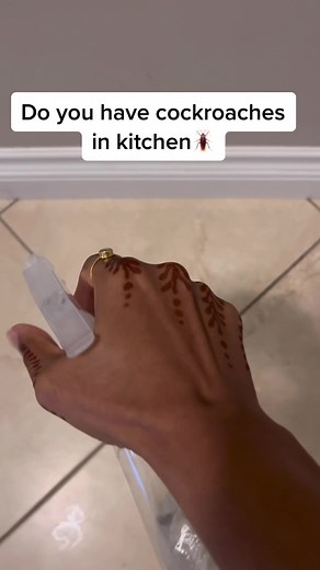 Natural DIY Pest Control: Eliminate Cockroaches in Your Kitchen