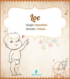 Loe Name Meaning, Origin, History, And Popularity
