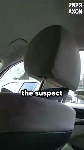 Officer Gets In The Back Of A Stolen Car...