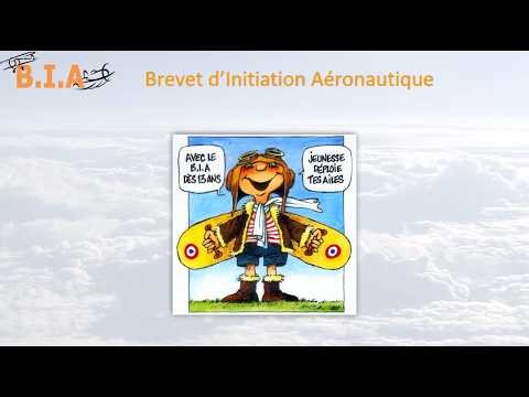 BIA - Présentation complète de la formation et du programme (40 h expliquées) ✈️