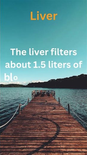 Surprising Medical Facts. Mind-Blowing Health Facts. Know more about your Health.