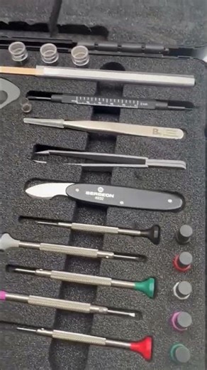 ⌚✨ Bergeon 7815 Master Service Watch Repair Kit