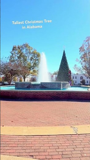 Tallest Christmas tree in Alabama #opelika #christmas #christmastree