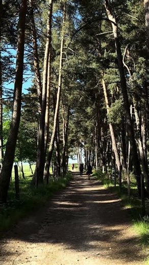 🚶 800 km à pied sur Compostelle: voilà pourquoi ils le font