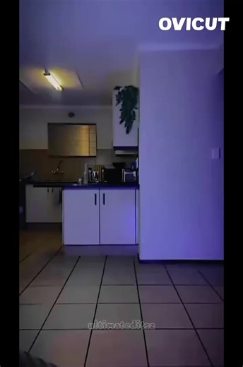 Mosquito#wise (@mosquitolwriter)’s videos with Capsize - Frenship & Emily Warren