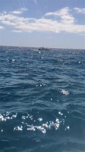 ❤️❤️❤️Cabo San Lucas BCS. | Que hacer en los cabos, Los Cabos, Cabo San Lucas, San José Del Cabo