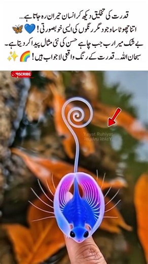 Amazing Colors of Nature | Allah’s Beautiful Creation 🌈 #Nature #SubhanAllah