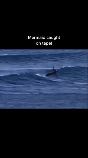 #Real mermaid caught on tape#ocean#