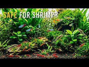 Choose The Right Tank Mates For Shrimp (Build The PERFECT Community Aquarium)