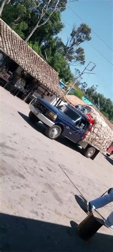 Samuel Antonio Ceballos Bastos on TikTok