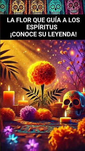¡La Flor de los Muertos!🌼💫Cempasúchil ¡Conoce su Historia!