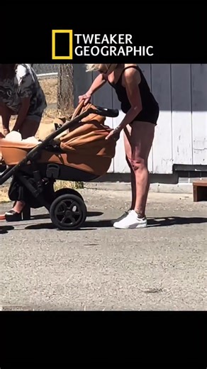 Tweaker Geographic Episode 11: Tweak Stroller. #tweaker #tweakers #nationalgeographic | Teddy Young