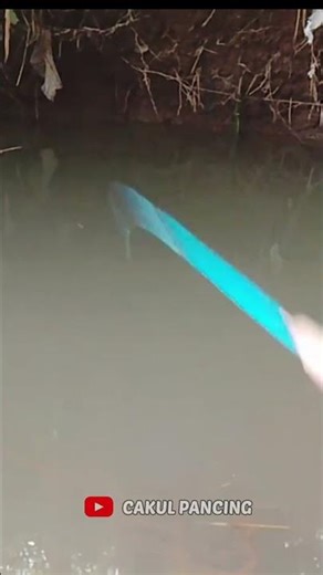 mancing wader #mancing #cakulpancing #fishing #mancingwader