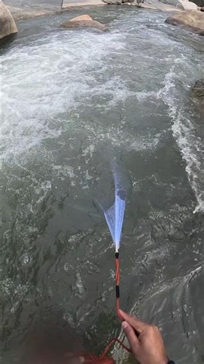 Thrilling spring river catch! 🎣💦 Perfect cast net toss for a catch. #castnetfishing #fishing