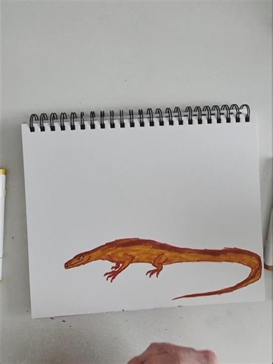 lizard art