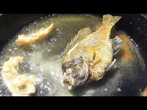 Bluegill Catch n Cook