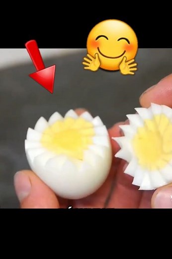 Avez vous déjà vu un œuf comme celui ci