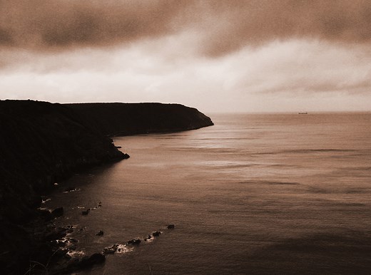 What If Every Shark Disappeared?