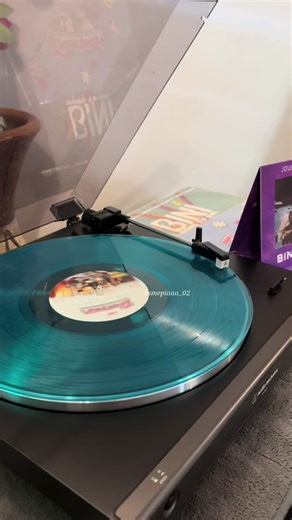 BINI Vinyl & Photocard Collection Check