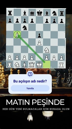 Satranç açılış ilkeleri nelerdir? #satranç #chess