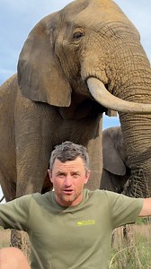 Mak is my biggest fan - he has the most incredible cooling system!🤠🐘 | Reilly Travers