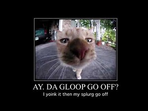 ay. da gloop go off?