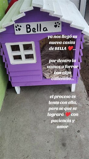 Creando un hogar cálido para Bella y sus bebés
