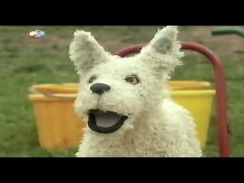 Dog and Duck - Riddles (2002) (FULL EPISODE)