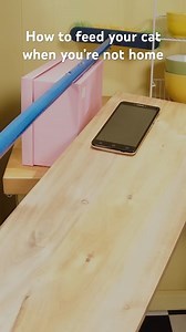 Joseph's Machines on Reels